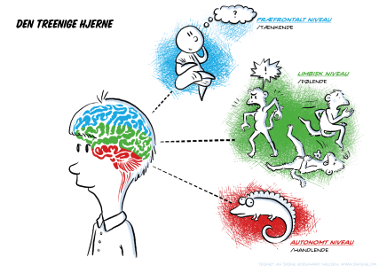 illustration af den treenige hjerne